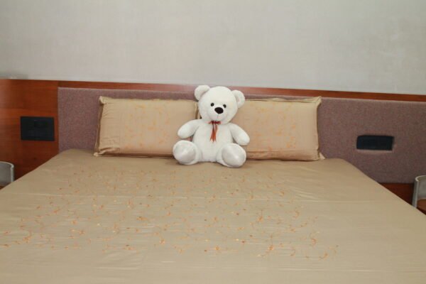 Cozy Elegance Double Bedsheet Set - Image 11