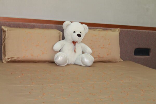Cozy Elegance Double Bedsheet Set - Image 12