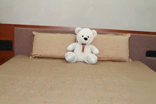 Cozy Elegance Double Bedsheet Set - Image 14