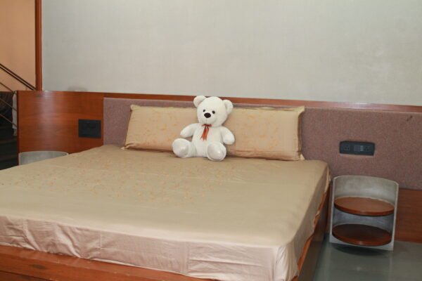 Cozy Elegance Double Bedsheet Set - Image 15
